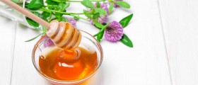 Red Clover To Help Treat Osteoporosis: What Does The Science Say?