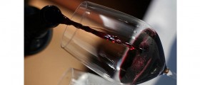 No Benefit For The Obese From Resveratrol In Red Wine, Danish Scientists Say