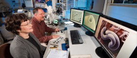 Treating Gut Bacteria May Treat Diabetes