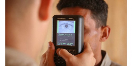 Scientists Figure Out Retinal Code