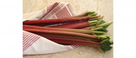 The Amazing Health Benefits of Rhubarb