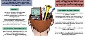 Right And Left Brain Personality Theory Debunked
