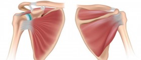 Bulletproof Your Rotator Cuffs