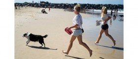 10 Tips That Will Keep Your Diet And Exercise On Track During Your Vacation