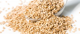 Seed Allergy Overview: Triggers, Symptoms, And Treatment
