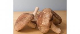 Shiitake Mushrooms: a Powerful Immune System Booster