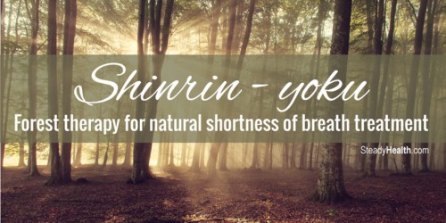 Shinrin-Yoku, Forest Therapy for Natural Shortness of Breath Treatment