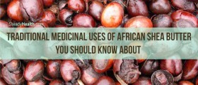 Skin Care Or Medicine? Traditional Medicinal Uses Of African Shea Butter You Should Know About