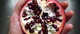 Antioxidants And Anticancer Therapy: Benefits And Controversies