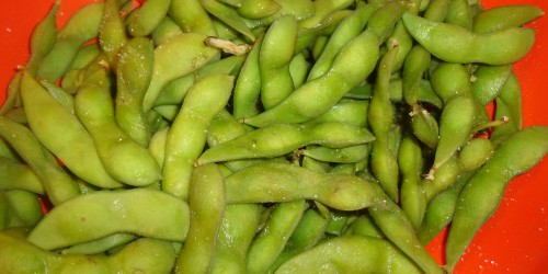 Do Soybean Products Pose A Threat To Your Health?