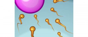 Overview of Male Fertility Treatments