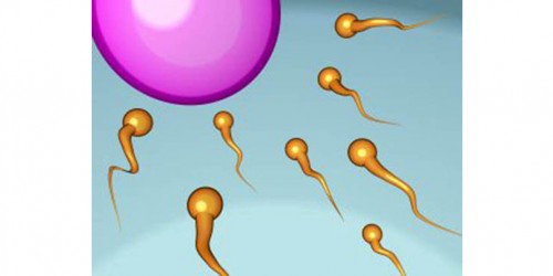 Overview of Male Fertility Treatments