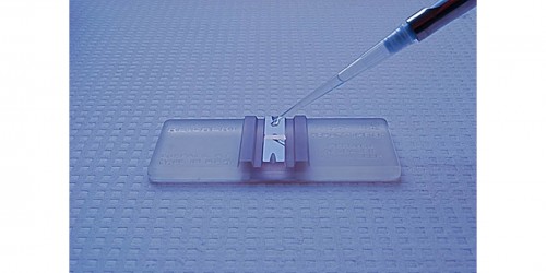 A Complete Guide to In Vitro Fertilization (IVF Treatment)