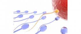 How to Increase Sperm Count and Improve Sperm Quality Naturally