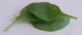 Iron supplements reduce risk of anemia and low birth weight babies