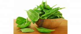 Vitamin B Rich Diet Lowers the Risk of Premenstrual Syndrome