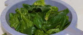 Health Benefits of Spinach: Popeye was Right