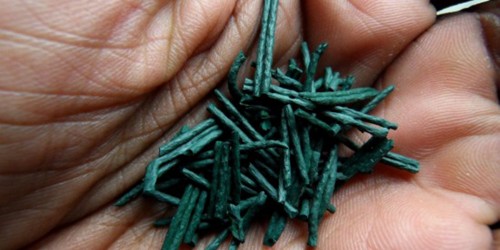 Is Spirulina Really A Superfood?