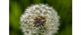 Help For Sinus Pain, Pressure, And Headaches