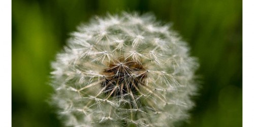 Help For Sinus Pain, Pressure, And Headaches