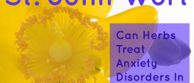 St Johns Wort, Valerian And Other Natural Remedies: Can Herbs Treat Anxiety Disorders In Children?