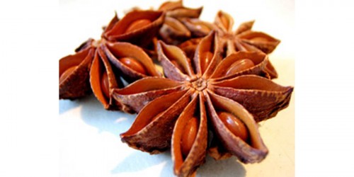 The Most Powerful Herbs And Spices To Heal Your Flu