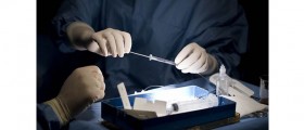 Could A New Stem Cell Therapy Regenerate Damaged Hearts?