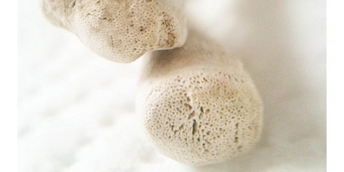 Joint-Friendly Exercises