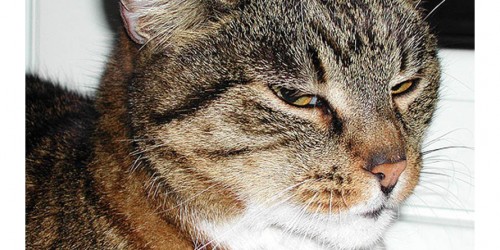 6 Things That Happy People Do Every Day