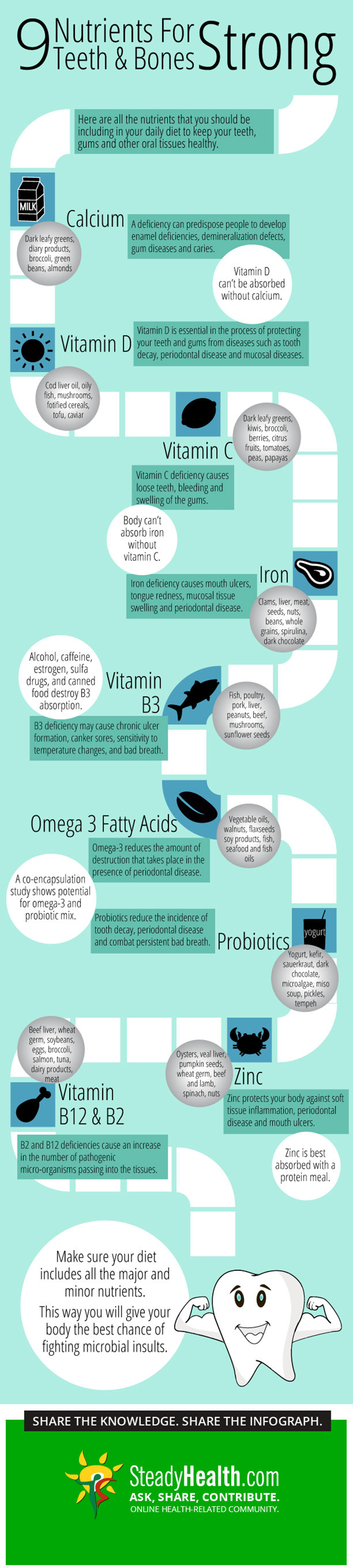 Nutrients You Shouldn't Skip If You Want Strong Teeth And Bones | Ear ...