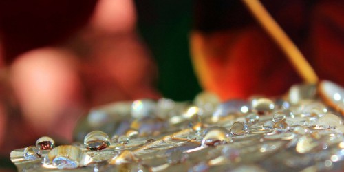 What You Should Never Say To Someone Who Is Suffering, And What You Should