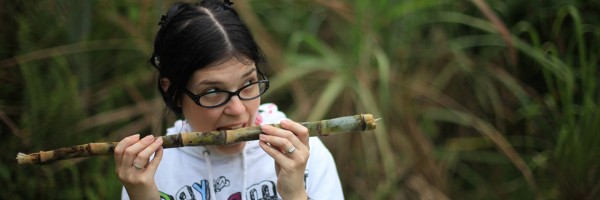 Is Brown Sugar Healthier Than White Sugar?