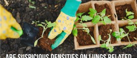 Suspicious Densities On The Lungs: Related To The Fungal Infection Blastomycosis?