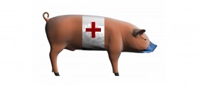 Swine Flu Symptoms: What People Need to Know
