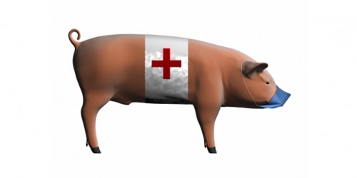 Swine Flu Symptoms: What People Need to Know