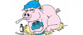 Swine Flu: Treatment and Prevention Vaccine