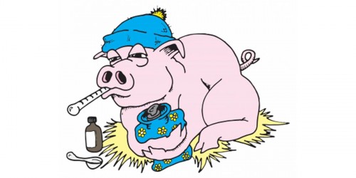 Swine Flu: Treatment and Prevention Vaccine