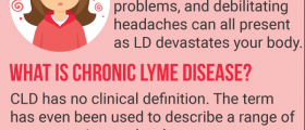 7 Signs You Might Have Chronic Lyme Disease
