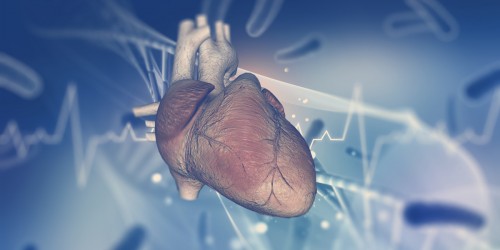 Arrhythmia Caused By A Fast Heart Rate: Symptoms, Types, Diagnosis And Treatment Of Tachycardia