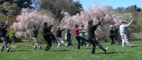 How T'ai Chi Can Make Your Genes Healthier!