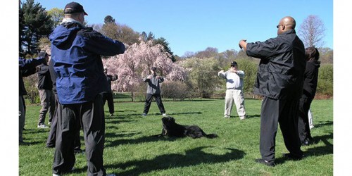 The Basis Of Athletic Achievement?  Movement Quality!