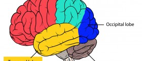 Temporal lobe epilepsy: Diagnosis & Treatment