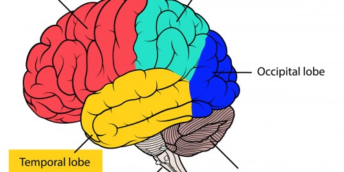 Temporal lobe epilepsy: Diagnosis & Treatment
