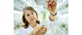 The Top Ten Greatest Medical Discoveries of 2011