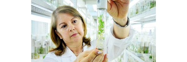 The Top Ten Greatest Medical Discoveries of 2011