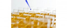 Progress on Stem Cell Alternative without Using Embryos