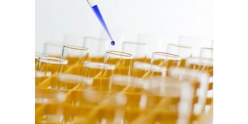 Progress on Stem Cell Alternative without Using Embryos