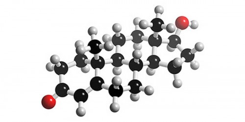 Natural testosterone boosters