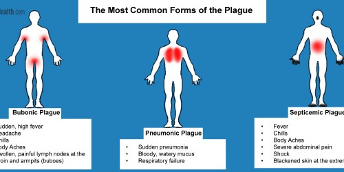 The Black Death in Modern Times