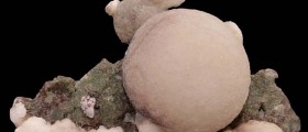 Zeolite Detox: Science Or Scam?